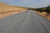 Eğlence mahallesi (Zinole zinewle)