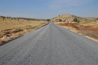 Eğlence mahallesi (Zinole zinewle)