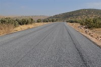 Eğlence mahallesi (Zinole zinewle)
